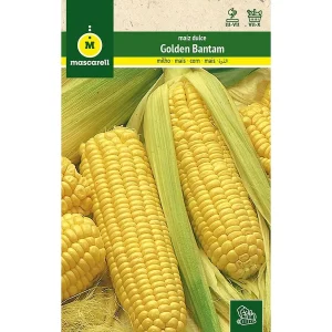 Semillas Maiz Dulce (golden Bantam)