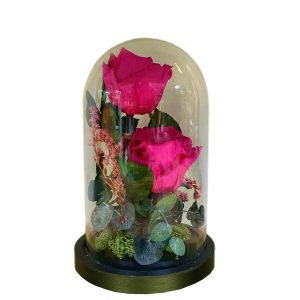 Cúpula 2 Rosas Fucsia 12x20cm