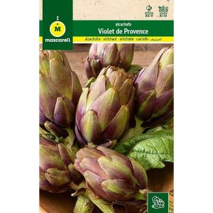 Semillas Alcachofa Violet De Provence