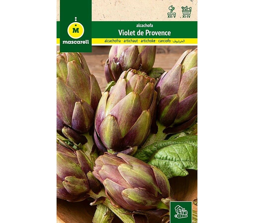 Semillas Alcachofa Violet De Provence