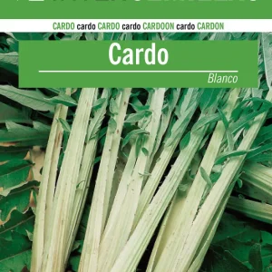 Sobre De Semillas De Cardo Blanco