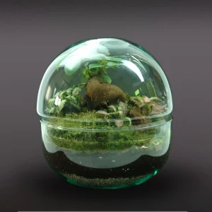 Nanogarden Terrario Ball Ginfit 20x20cm