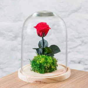 Rosa Bella Y La Bestia.