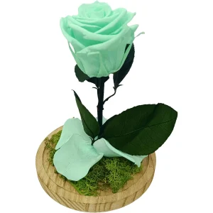 Mundo Eterno Rosa En Cúpula Verde Menta 12x20cm