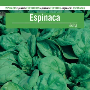 Sobre De Semillas Espinaca Viking