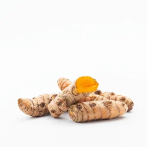 Raíz De Cúrcuma directas desde el campo