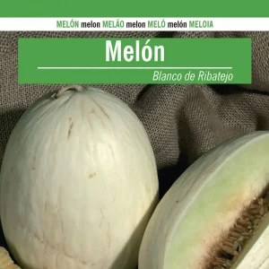 Sobre De Semillas Melon Blanco De Ribatejo