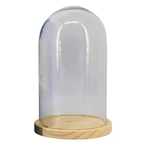 Cúpula En Bandeja De Madera Diámetro 16.5cm Altura 27 Cm