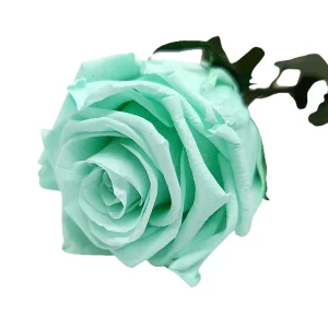 Mundo Eterno Rosa Preservada Verde Menta 35cm