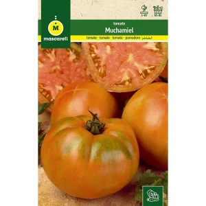 Semillas Tomate Muchamiel