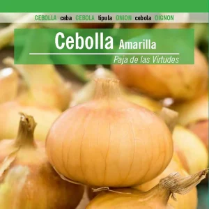 Sobre De Semillas De Cebolla Amarilla Paja Virtudes