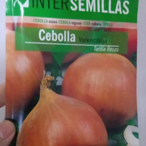 Sobre De Semillas De Cebolla Valenciana Tardia