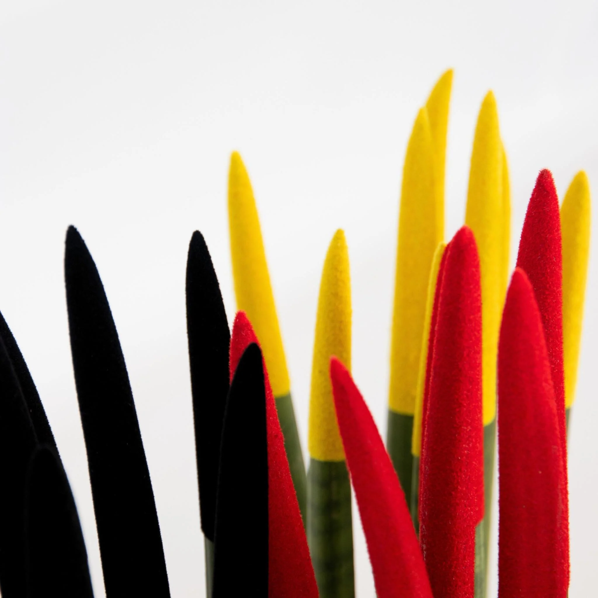 Dracaena Cylindrica - 3 Pzs - Sansevieria Cylindrica - Altura 20-40cm - ⌀9cm - Imagen 3