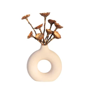 Flores Secas - 10 Pzs - Ramo 'protea Compacta'