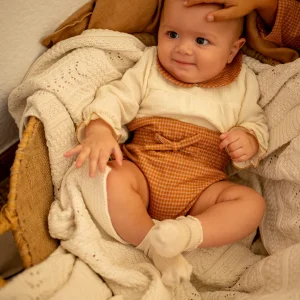 Bombacho lazo | Raíz | Cuadros