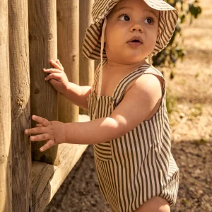 Ranita Santillana Rayas