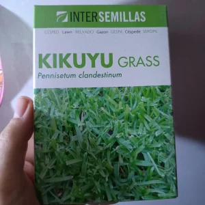 Semillas De Cesped Kikuyu Grass Caja De 250g