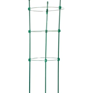 Tutor Circular De 45 Cm