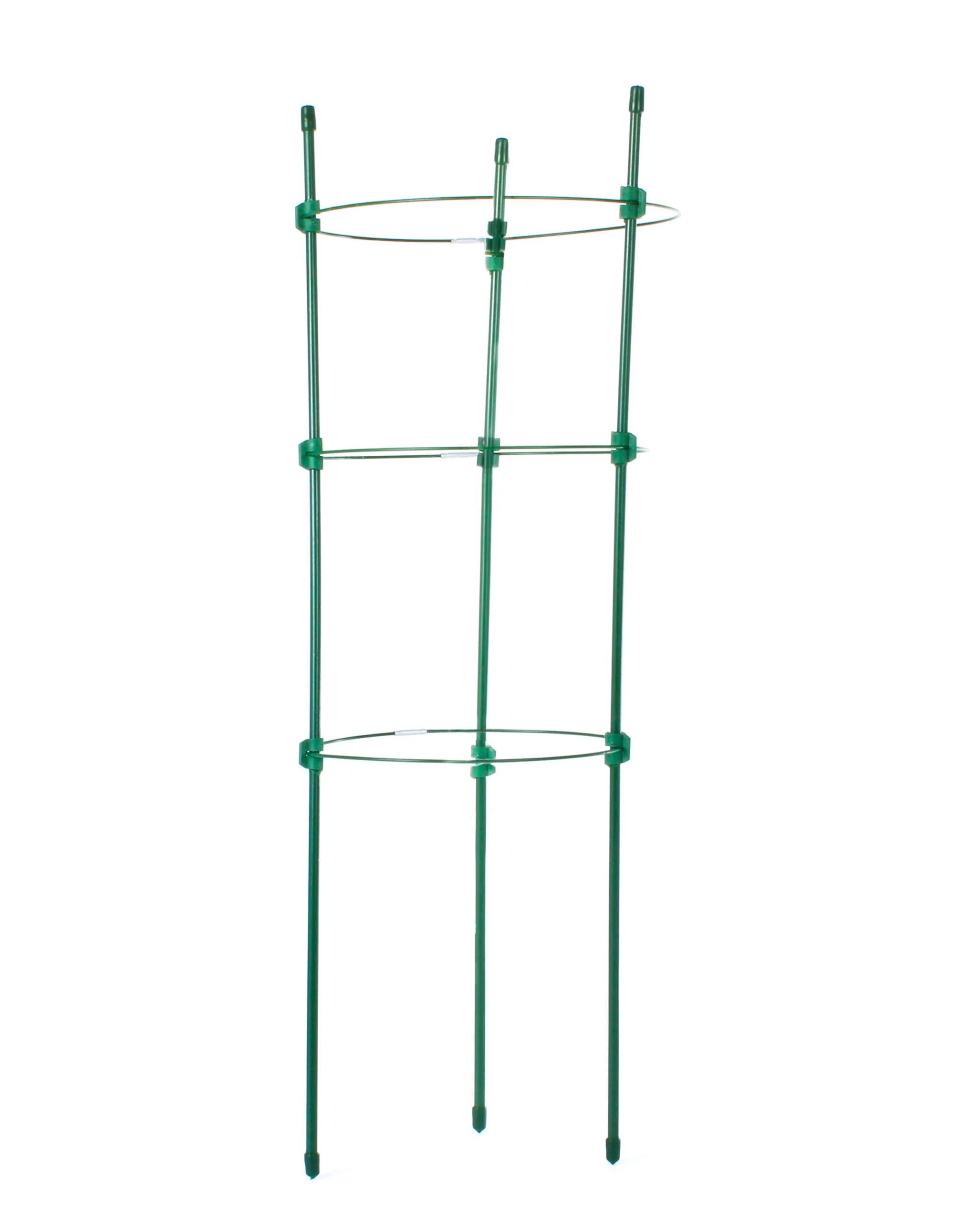 Tutor Circular De 45 Cm