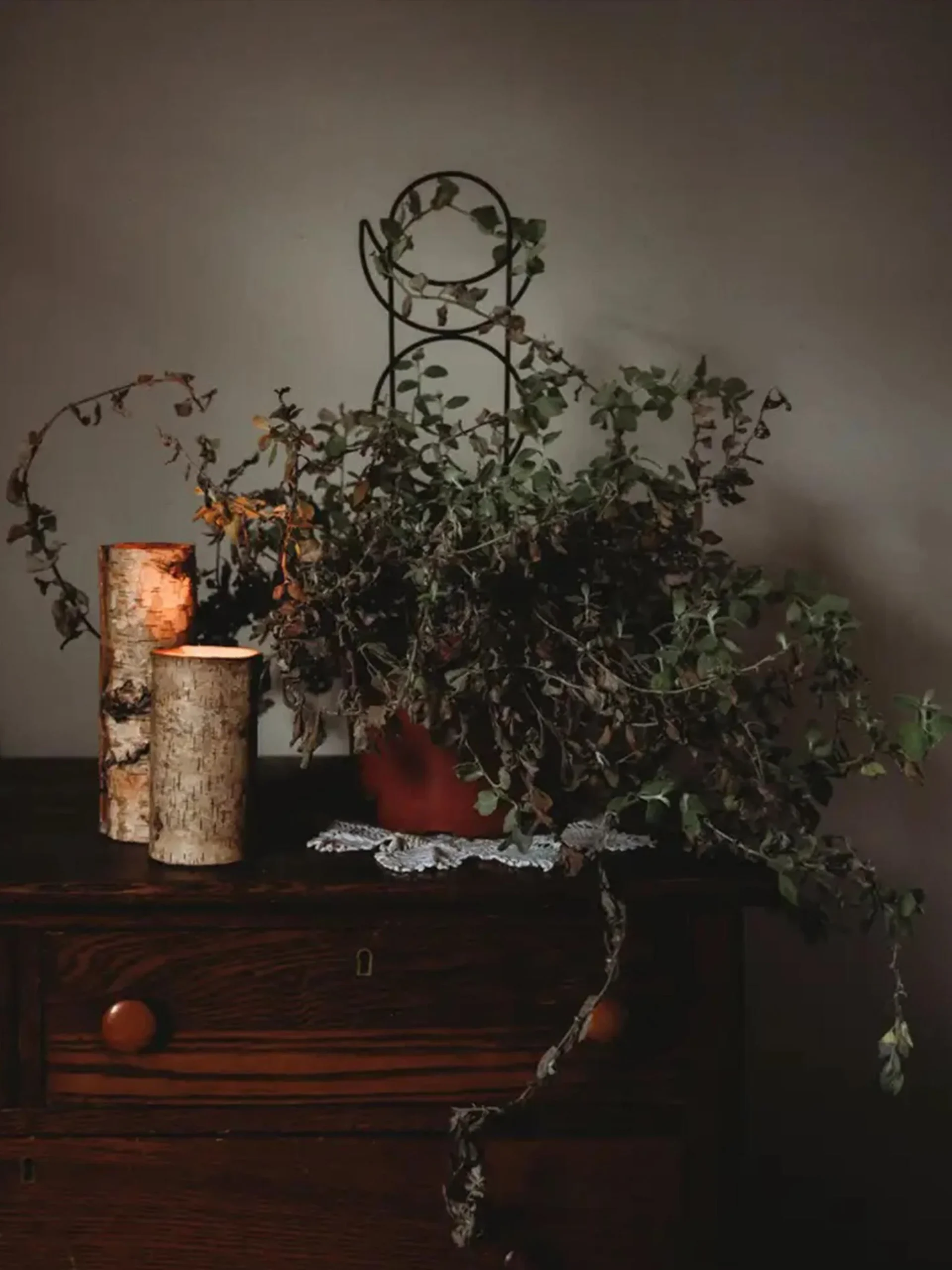 Tutor Metálico Fase Lunar - Imagen 3