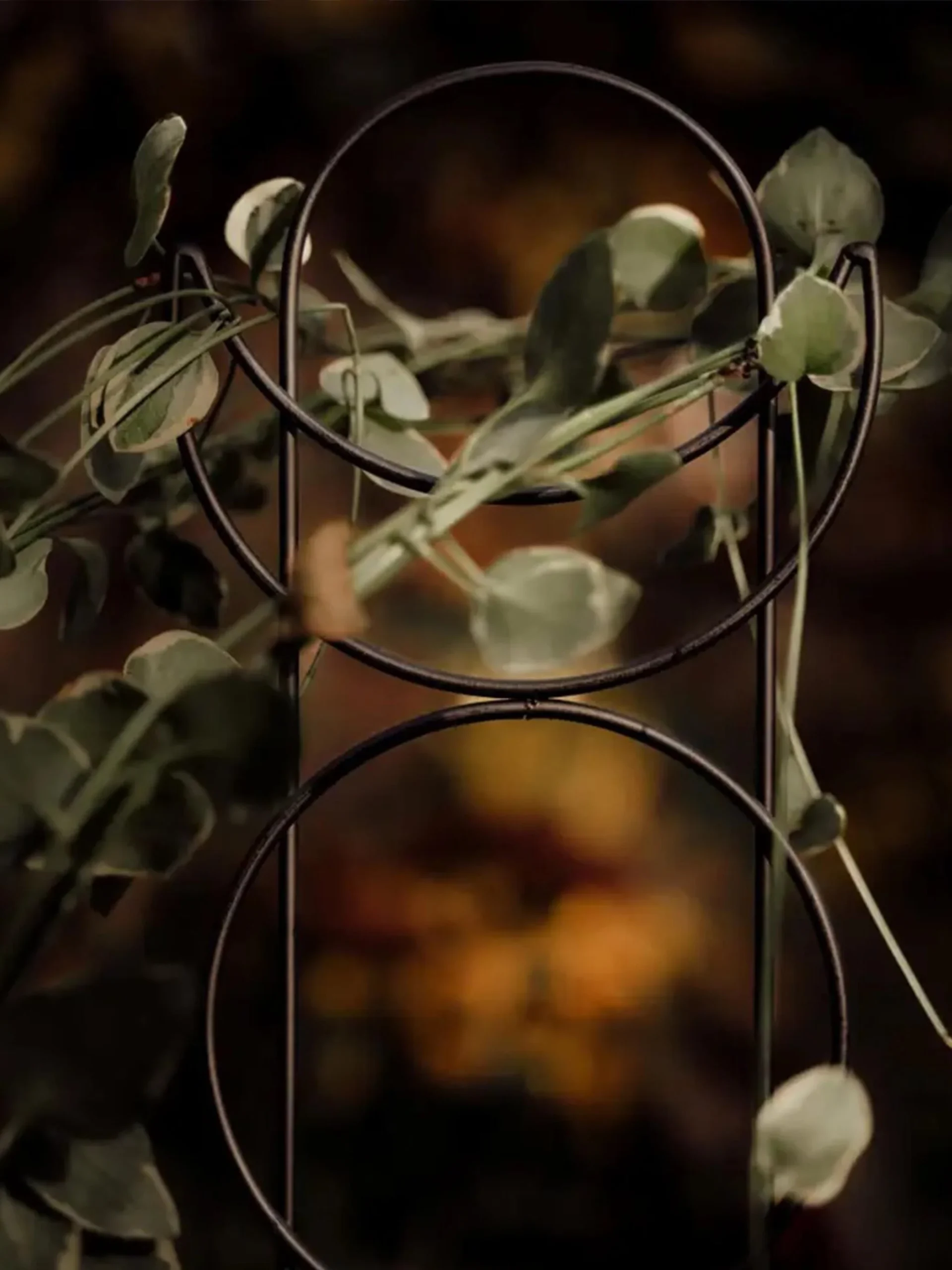 Tutor Metálico Fase Lunar - Imagen 4