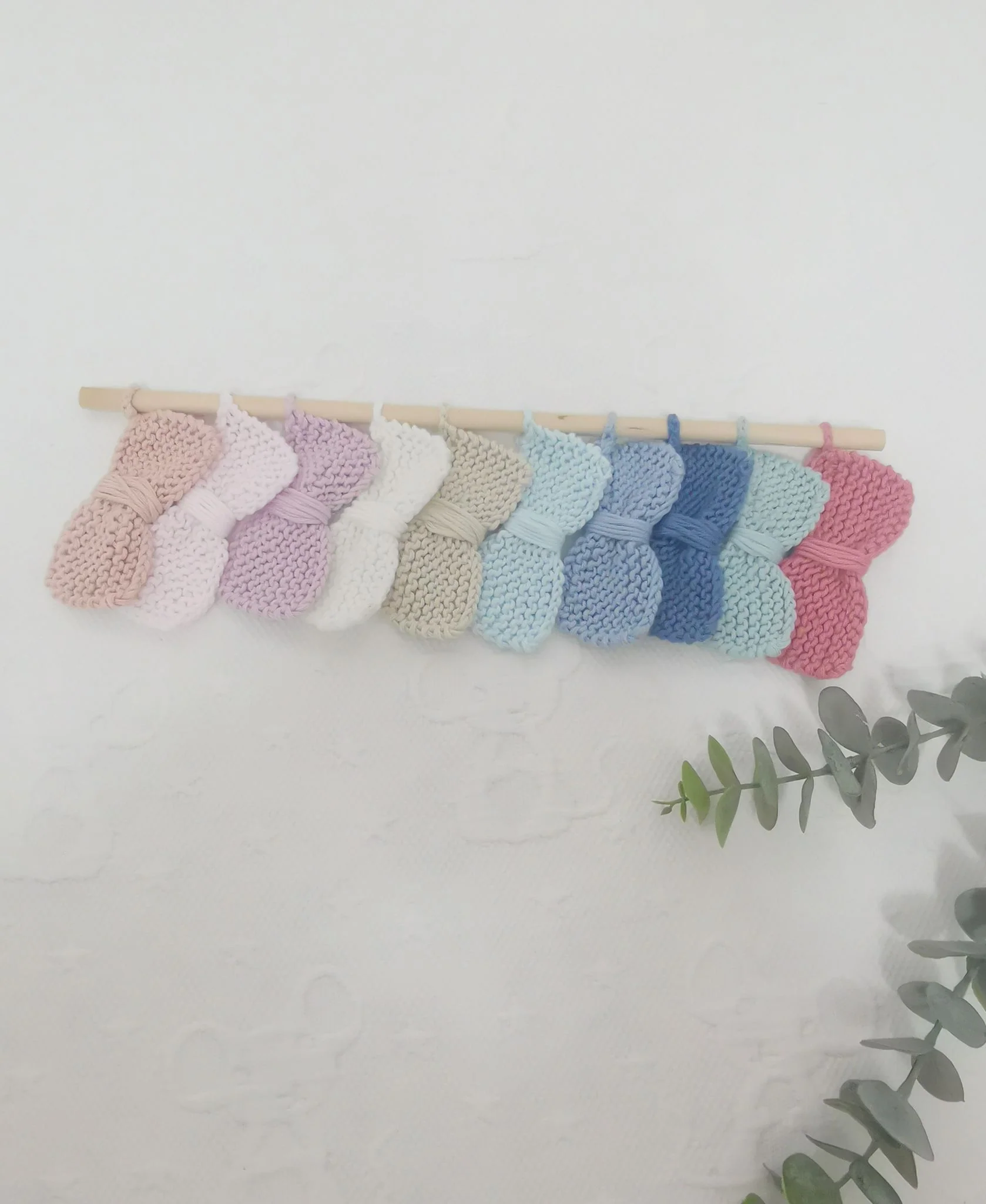 BE_Braguita Básica - Imagen 2