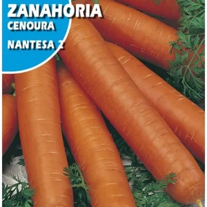 Semillas Zanahoria Nantesa 10g