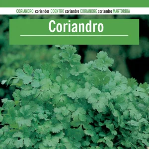 Sobre De Semillas De Coriandro