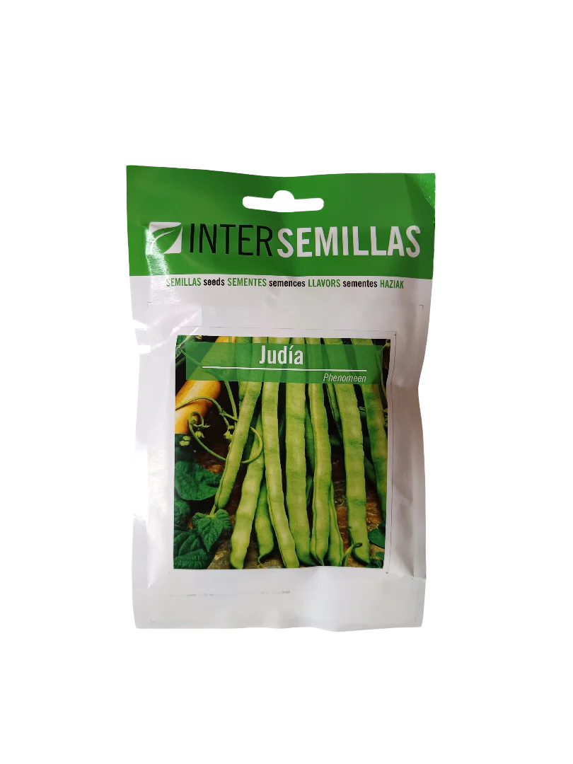Semillas De Judia Variedad Phenomeen 100 Gr.