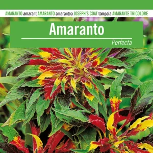 Semillas De Amaranto Perfecta