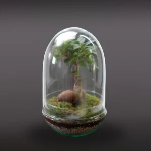 Nanogarden Terrario Ginseng Jungle 30x17 Cm