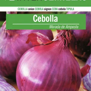 Sobre De Semillas De Cebolla Morada De Amposta