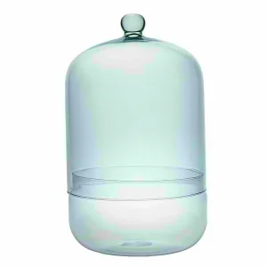 Terrario De Cristal 2 Piezas Tubo 13.4x33cm