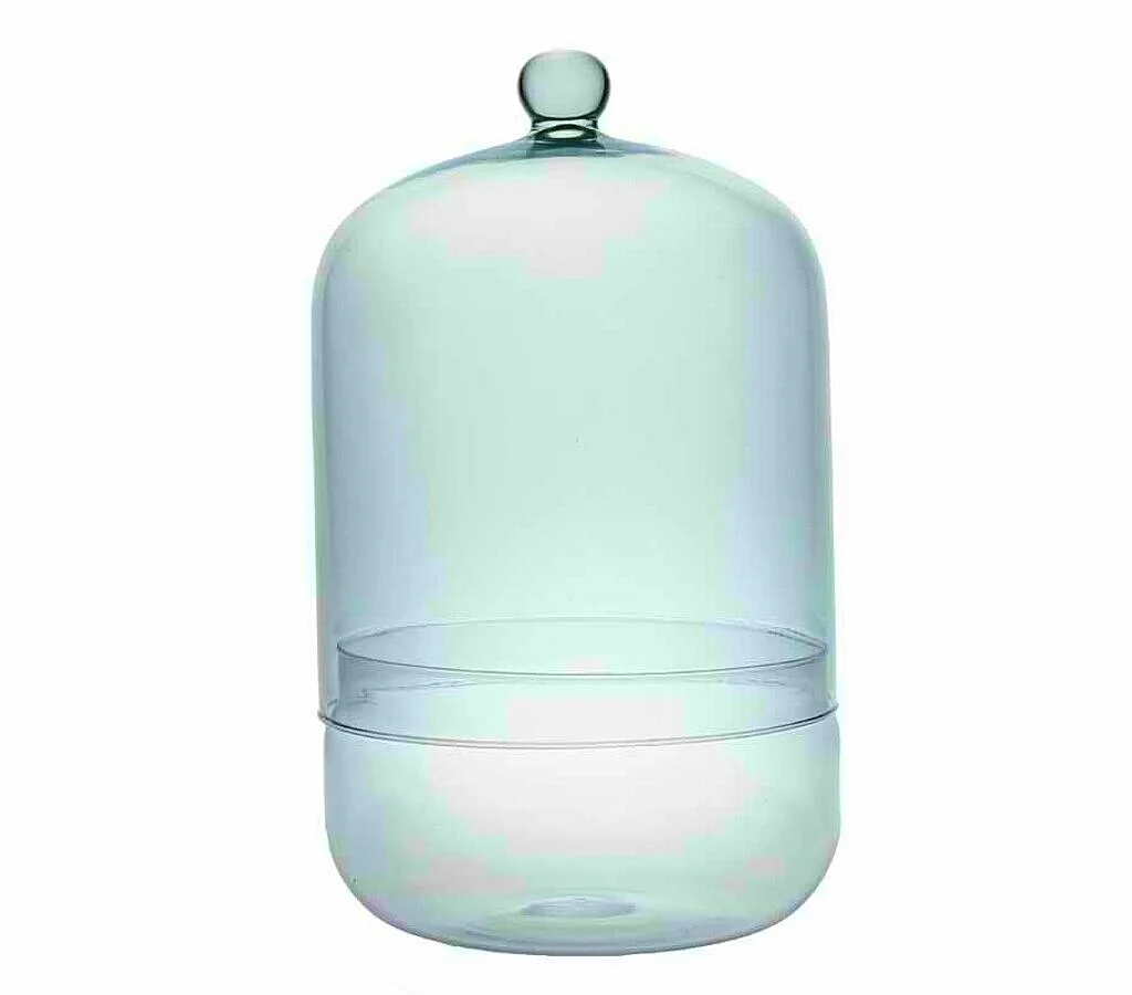 Terrario De Cristal 2 Piezas Tubo 13.4x33cm