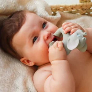 Nelly the Elephant Pulsera Mordedor