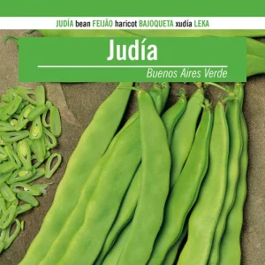 Sobre De Semillas De Judia Buenos Aires Verde